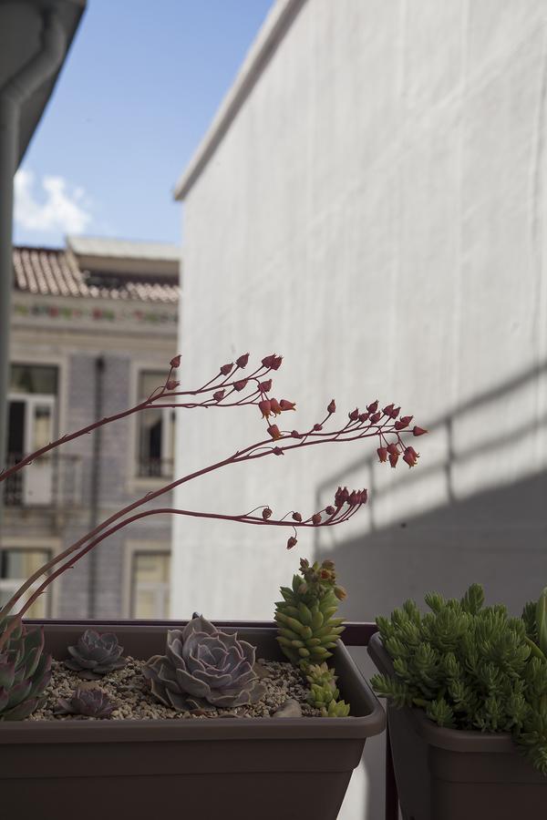 Lisbon Poets Inn 외부 사진